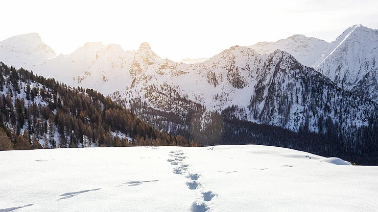 Mit Licht gegen den ‘Winterblues’ - 10 Kriterien für das ideale Licht